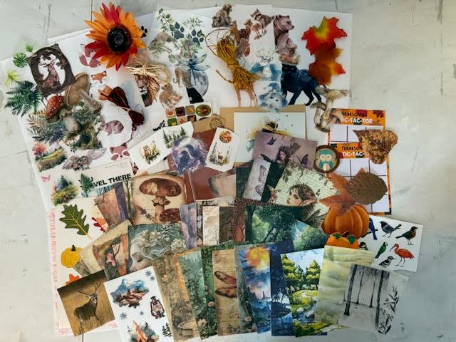 Fall, Fairies, and Forrest set